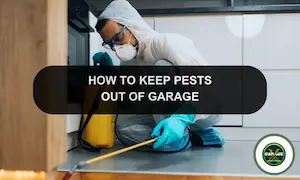 How To Keep Pests Out Of Garage: Keep Bugs, Vermin and Other Creepy Crawlies Out