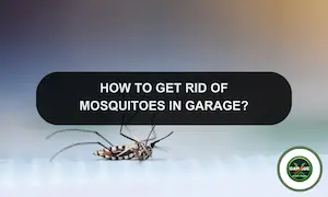 How To Get Rid Of Mosquitoes In Garage: Keeping Mosquitoes Out