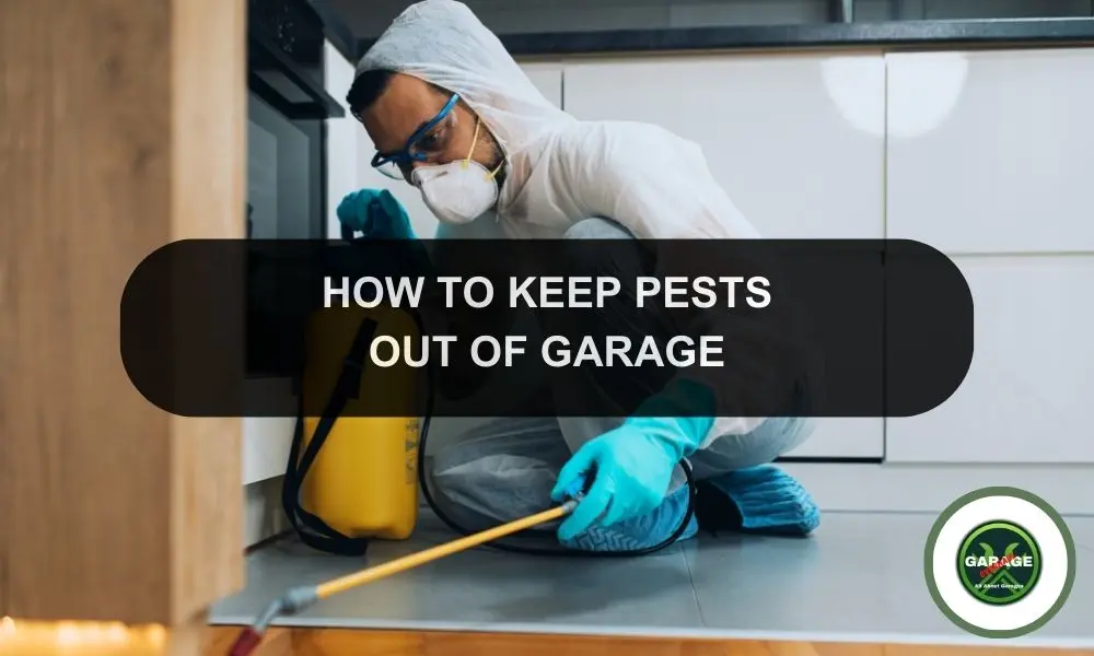 How To Keep Pests Out Of Garage Keep Bugs, Vermin and Other Creepy